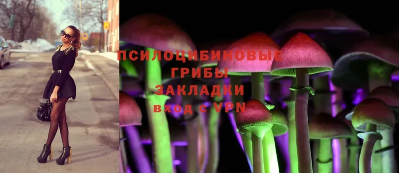 Галлюциногенные грибы Magic Shrooms  Кораблино 